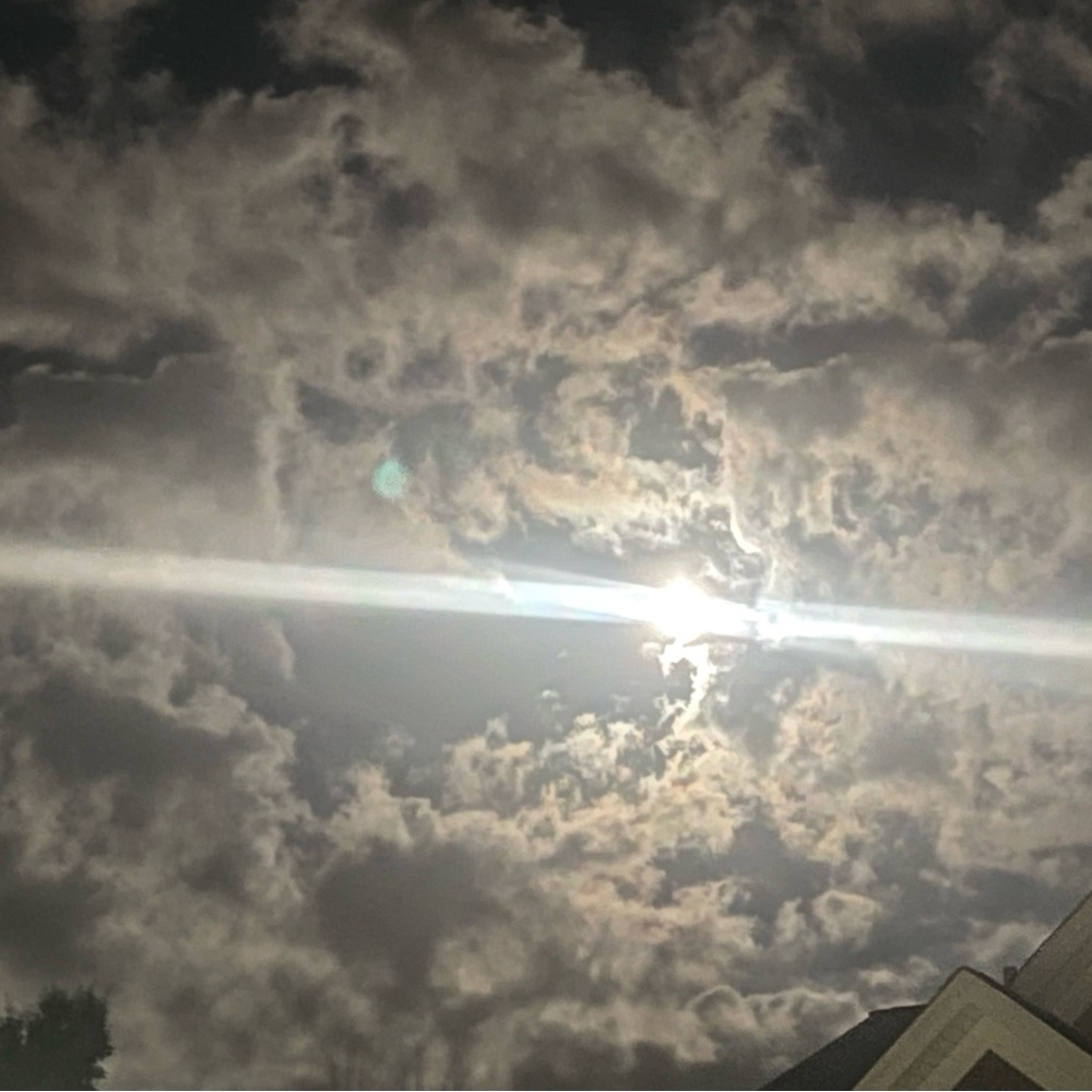 Meet your Posher, Ash